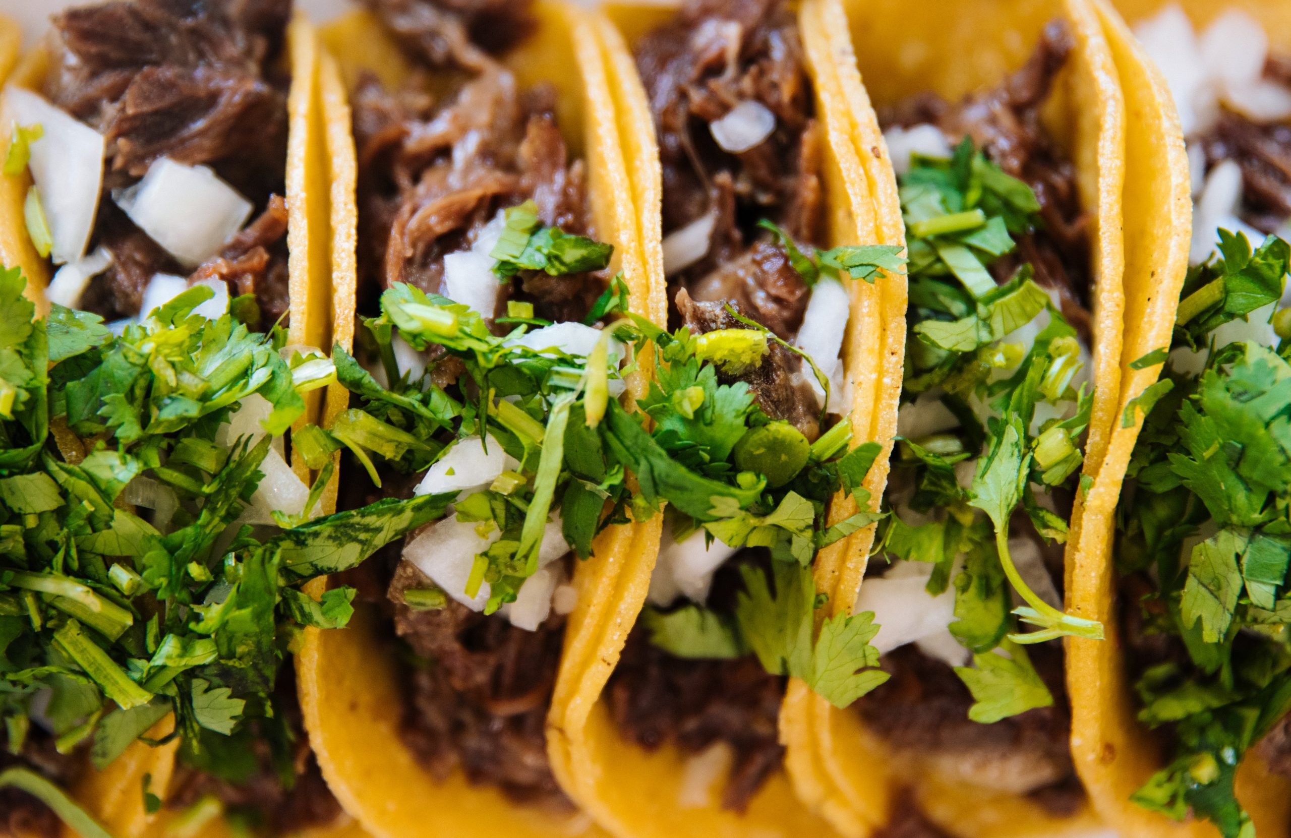 Repertorio: tacos típicos en 32 estados del país - Culinaria Mexicana