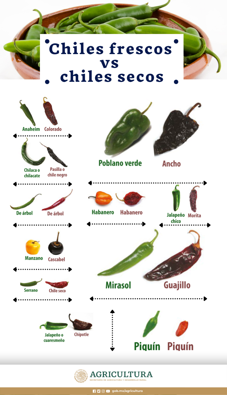 De chiles frescos a secos: descubre la transformación de este fruto ...