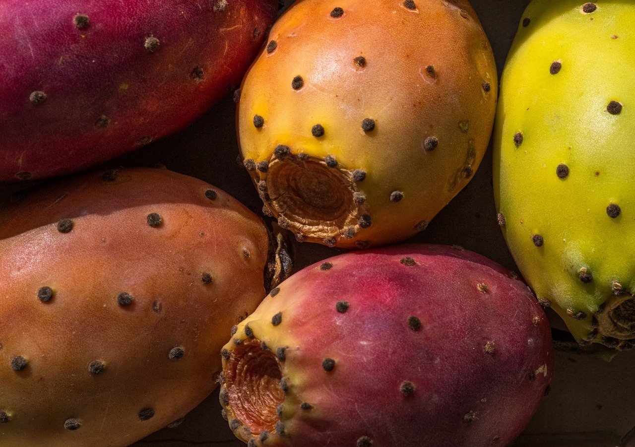 Recetas para celebrar la temporada de tuna - Culinaria Mexicana