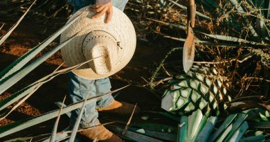 Cinco productos tradicionales mexicanos en peligro de extinción