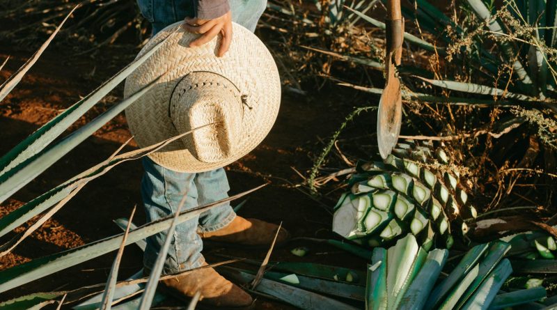 Cinco productos tradicionales mexicanos en peligro de extinción