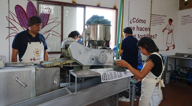 CDMX inaugura su primera tortillería comunitaria de maíz nativo